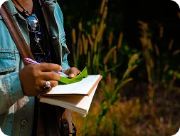 Academic Certificate